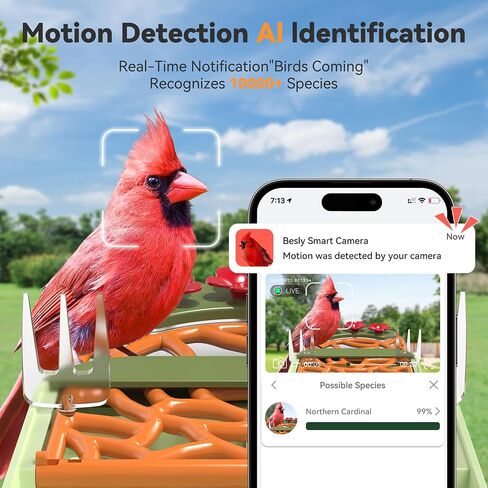 Rayki Metal Solar Smart Birder مع الكاميرا ، AI مع الأضواء الشمسية ، 2K HD CAM & WIFI ، تنبيهات وصول فورية ، هدية مثالية لمحبي الطيور in Kuwait