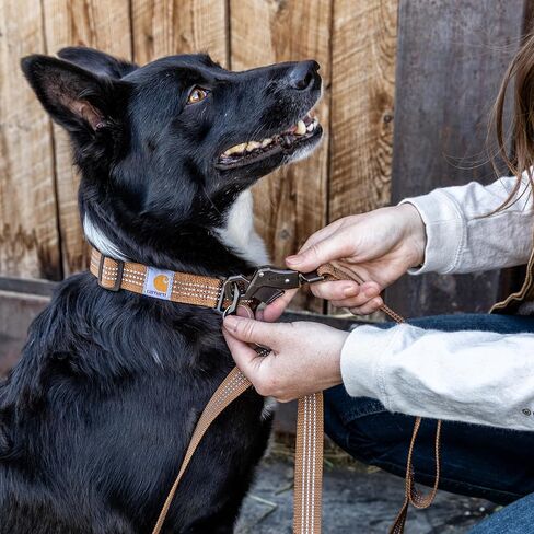 Carhartt Dual Handle Dog Leash, Durable 600-Denier Fabric W/Adjustable Metal D-Ring Hardware, Deep Wine, Large in Saudi Arabia
