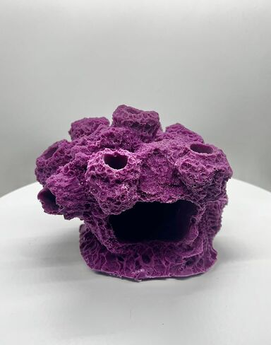 7 Hole Barnacle Cave Frag Rock Rockbed Base for Live Coral Frag Slows for Reef Aquariums (Coralline Purple) in Kuwait