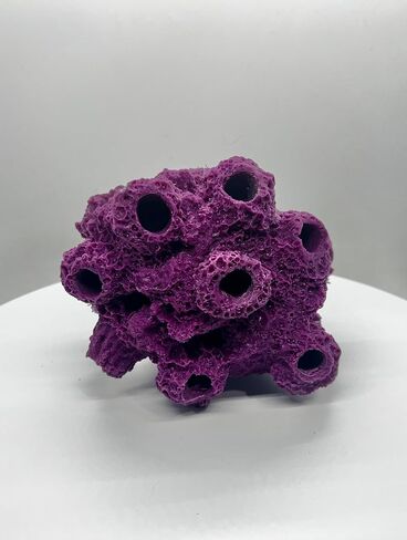 7 Hole Barnacle Cave Frag Rock Rockbed Base for Live Coral Frag Slows for Reef Aquariums (Coralline Purple) in Kuwait
