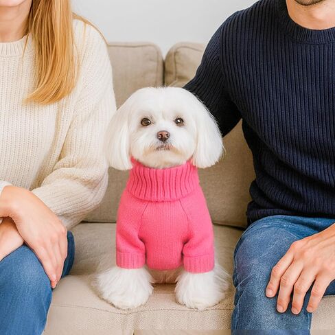 Woyyho 5-22 رطل الكلب فستان سترة عيد الميلاد للكلاب الصغيرة فتاة مع أقواس النمط الأحمر ل الكلب سبيرا الخريف الكلاب الكلاب in Kuwait