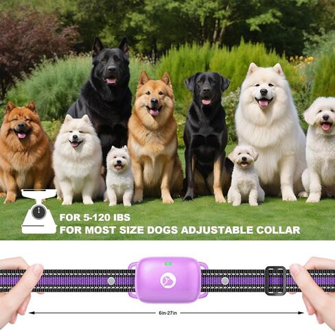 Shock Collar for Dogs 2600FT,Dog Training Collar with Remote Purple in Saudi Arabia