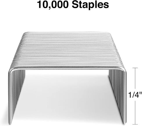 TRU RED TR58092 Standard Staples, 1/4-Inch Leg Length, 5000 Staples/Box, 5/Pack in Saudi Arabia