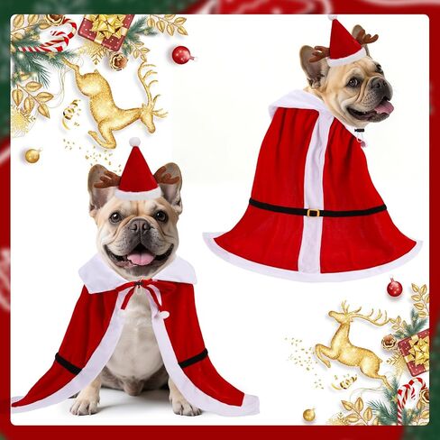 Expawlorer Halloween Dog King Costume ، Doggie King Cloak و Crown Cap Cap for mediure اطلب من الكلاب الكبيرة الكلاب ، مضحكة أزياء الأمير ، ملابس Cosplay Fress for Holiday Party Photo s in Kuwait