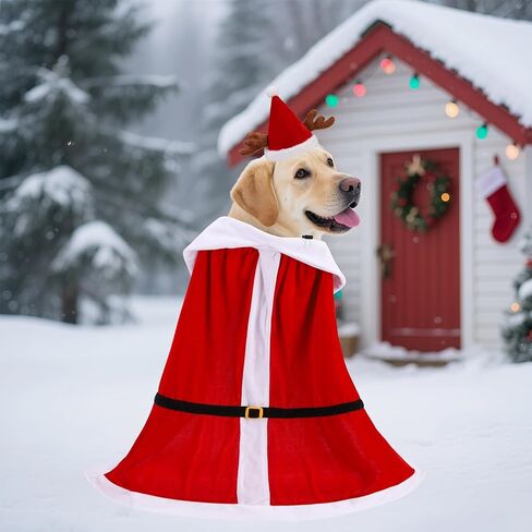 Expawlorer Halloween Dog King Costume ، Doggie King Cloak و Crown Cap Cap for mediure اطلب من الكلاب الكبيرة الكلاب ، مضحكة أزياء الأمير ، ملابس Cosplay Fress for Holiday Party Photo s in Kuwait