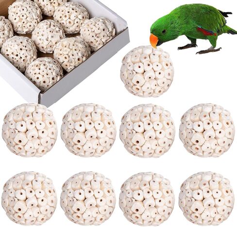 6 عبوة Bird Toy Sola Balls ، Parrot Norture Puck Phetmding & Fraging Toy ، كرات قدم الطيور لكوكاتيل كونور بودجي ببناء أرنب غينيا خنزير شينشيلا أرنب in Kuwait