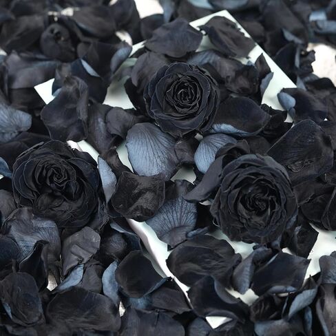 Dried Real Rose Petals, Preserved Flower Petals Confetti for Wedding, Romantic Night for Her Set, Engagement, Bridal Shower, Valentine's Day, Flower Girl Party Dinner Table Decor (1.4oz, Pink) in Kuwait