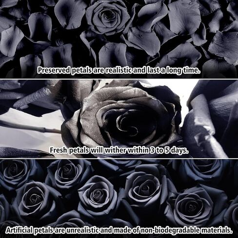 Dried Real Rose Petals, Preserved Flower Petals Confetti for Wedding, Romantic Night for Her Set, Engagement, Bridal Shower, Valentine's Day, Flower Girl Party Dinner Table Decor (1.4oz, Pink) in Kuwait