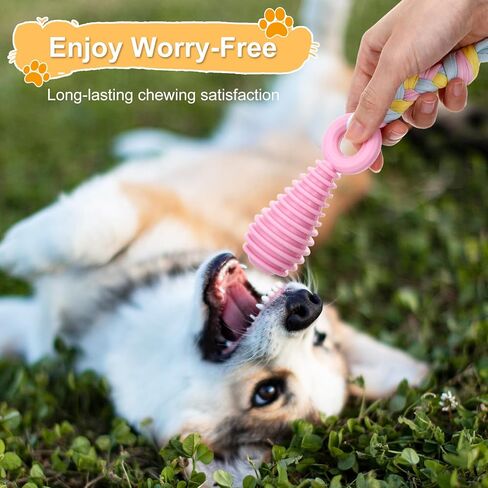 3pcs Pet Molar Clean Teath Rubber Toy ، Pacifier Dog with rope ، ألعاب مضغ الكلاب للمضغّة العدوانية ، Puppy Pacifier Pacifier Paming ألعاب التدريب للقطط الصغيرة ، 3 ألوان لطيفة in Kuwait