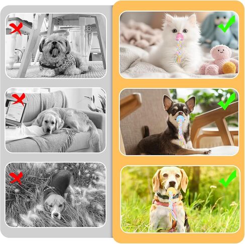 3pcs Pet Molar Clean Teath Rubber Toy ، Pacifier Dog with rope ، ألعاب مضغ الكلاب للمضغّة العدوانية ، Puppy Pacifier Pacifier Paming ألعاب التدريب للقطط الصغيرة ، 3 ألوان لطيفة in Kuwait