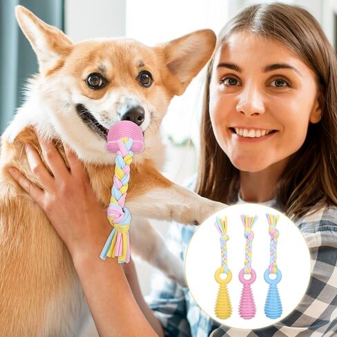 3pcs Pet Molar Clean Teath Rubber Toy ، Pacifier Dog with rope ، ألعاب مضغ الكلاب للمضغّة العدوانية ، Puppy Pacifier Pacifier Paming ألعاب التدريب للقطط الصغيرة ، 3 ألوان لطيفة in Kuwait