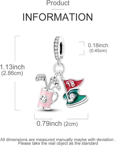 Hapour 925 Sterling Silver Charms for Charm Bracelets Necklace Netclace Jewelry Dangle Beads Charm for Women Mom in Saudi Arabia