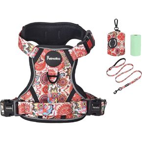 Petmolico لا مجموعة تسخير الكلب ، 4 مقود أتيشمنت سهلة التحكم في السترة عاكسة الكلب تسخير ومقود مجموعة لسلالة صغيرة ، مع حامل حقيبة أنبوب ، ديناصور أرجواني صغير in Kuwait