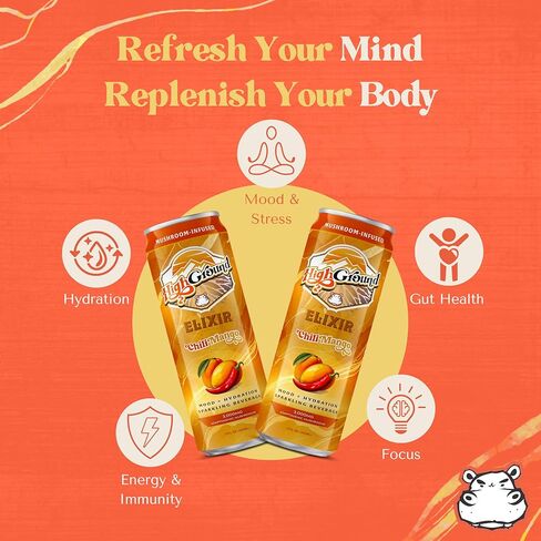 High Ground Elixir Mushroom Seltzer – Variety Pack | Lion’s Mane for Focus, Reishi for Stress, Cordyceps, Chaga, Turkey Tail, L-Theanine | Adaptogen Drink | Low Cal, No Added Sugar, 12oz Cans in Kuwait