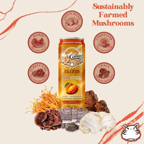 High Ground Elixir Mushroom Seltzer – Variety Pack | Lion’s Mane for Focus, Reishi for Stress, Cordyceps, Chaga, Turkey Tail, L-Theanine | Adaptogen Drink | Low Cal, No Added Sugar, 12oz Cans in Kuwait