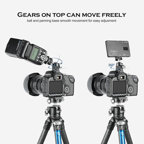 Leofoto MBC-22 Mini Ball Head ، استخدم على الطاولة التكتيكية ، للمناظير ونطاقات اكتشاف ، 1/4 بوصة كعب المسمار ، كرة 22 مم ، ARCA متوافقة in Saudi Arabia