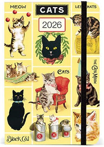 Cavallini 2026 Planner National Parks Weekly Planner ، 4 × 6 بوصات ، مخطط لمدة 12 شهرًا في الأسبوع ، مثالي للمتعصبين بالزهور والصغيرة واللطيفة (AG2026/NP) in Kuwait
