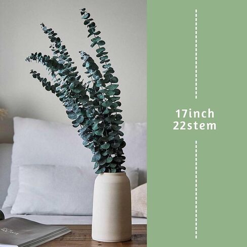 12Pcs Dried Eucalyptus Stems for Shower 17" Natural Preserved Dried Eucalyptus Shower Plant, Fresh Eucalyptus Branches Leaves Greenery Hanging, Flowers Arrangement, Wedding, Vase Filler, Home Decor in Kuwait