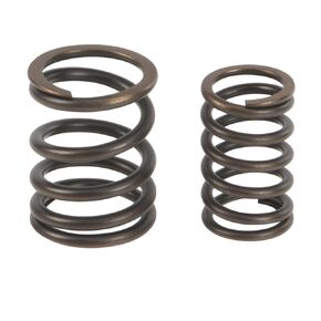 DASPARTS Valve Spring Set 90110590151 90110590150 for Porsche 911 914 930