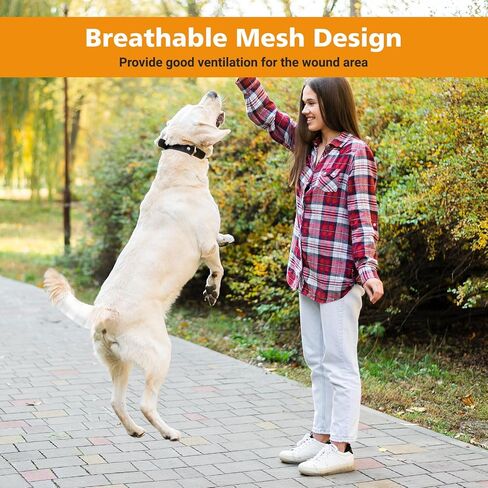 UNIFAMILY حامي ذيل الكلب، 10 قطع من ضمادات أنبوبية قابلة للتنفس للكلاب، ضمادة شبكية مرنة لتضميد الجروح، بالإضافة إلى وسادتي شاش وضمادة ذاتية اللصق للكلاب والقطط والحيوانات الأليفة الأخرى in Kuwait