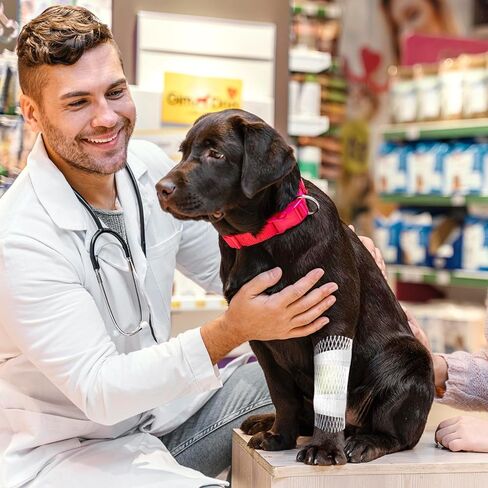 UNIFAMILY حامي ذيل الكلب، 10 قطع من ضمادات أنبوبية قابلة للتنفس للكلاب، ضمادة شبكية مرنة لتضميد الجروح، بالإضافة إلى وسادتي شاش وضمادة ذاتية اللصق للكلاب والقطط والحيوانات الأليفة الأخرى in Kuwait