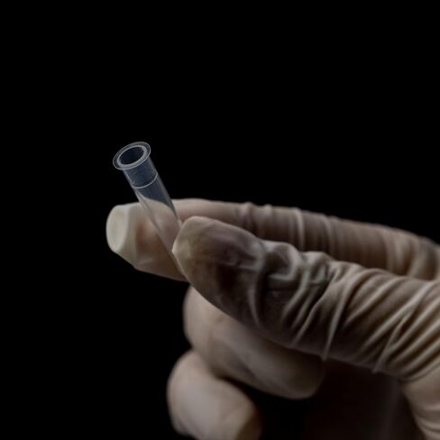 PEKYBIO 350ul قاعدة مخروطية مايكرو HPLC GC فيال PP إدراج لقارورة عينة تلقائية 2 مل، بولي بروبيلين، 6 * 29 مم، عبوة من 100 in Saudi Arabia