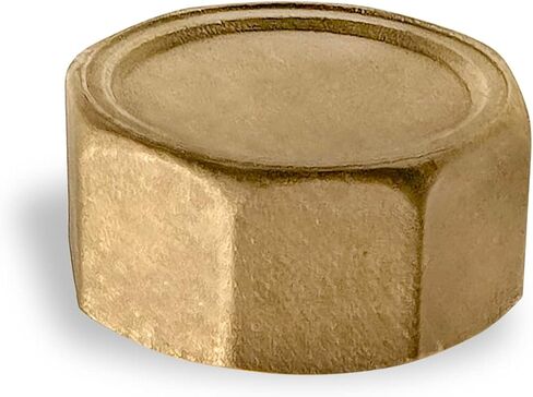 Pipe Cap Lid 1" Female Brass Pipe Cap NPT 1 inch Female Pack of 1 in Saudi Arabia