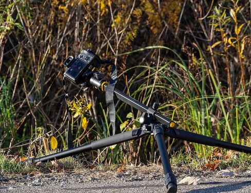 Vanguard Alta Pro 2+ 263AB G2 Aluminum Tripod with Arca-Compatible BH-60 Ball Head and Multi-Angle Center Column in Saudi Arabia