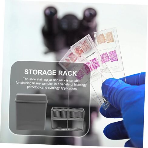 1Set Plastic Microscope Slides Staining Rack for Laboratory Use Staining Jar Storage for Teaching Research Experiments Design in Saudi Arabia
