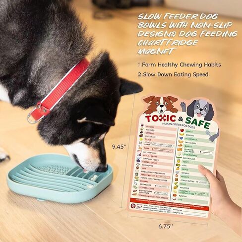 New Puppy Gift Basket,Puppy Starter Kit,Dog Gift Basket,New Puppy Essentials,Dog Paw Print Kit,Dog Nose Print Kit,New Puppy Shopping List,Dog Toy Gift Set,Dog Birthday Box,Puppy Necessities in Saudi Arabia