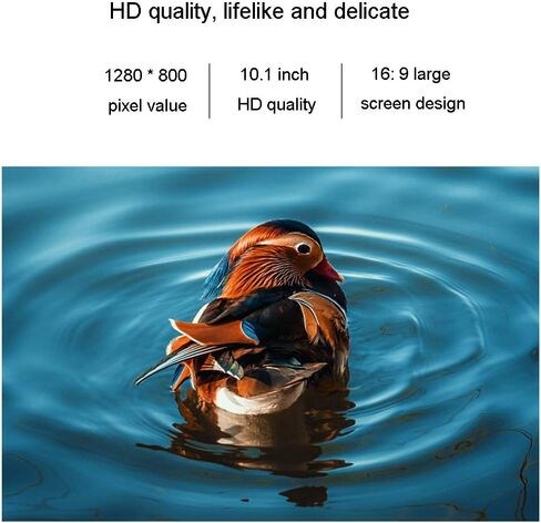 Digital Photo Frames Full-View Digital, Remote-Controlled high-Definition IPS Screen Electronic, with Electronic Calendar, Video Music Playback Function (Black 11.6 inches) in Saudi Arabia