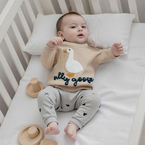 Toddler Baby Boy Girl Goose Sweater Silly Goose Embroidery Knit Sweater Crewneck Sweatshirt Fall Winter Clothes in Kuwait