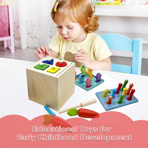 Wooden Montessori Toys for Toddlers 1-3, Color & Shape Sorting Matching Games, Fine Motor Skills Sensory Preschool Learning Educational Toys Baby Boys Girls Gifts (5 in 1) in Saudi Arabia