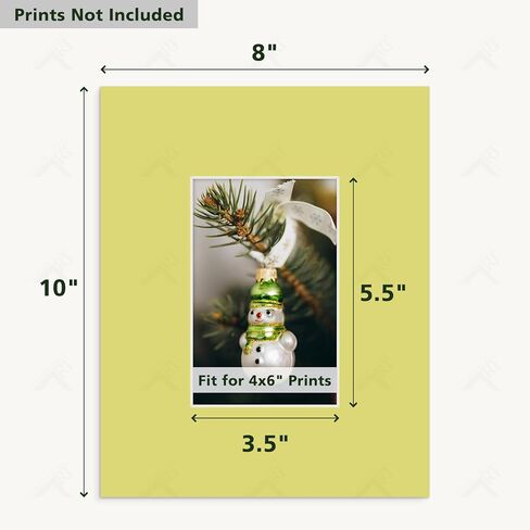 Golden State Art، 5 عبوات إطار صور بألوان مختلطة مقاس 8 × 10، فتحة 3.5 × 5.5 للصور مقاس 4 × 6 مع قطع مشطوفة أساسية بيضاء، سمك 4 طبقات in Saudi Arabia