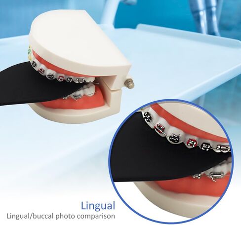 Silicone Soft Dental Photography Background Board, Bendable Black Contrast Plate - for Tooth Shooting (Occlusal) in Saudi Arabia