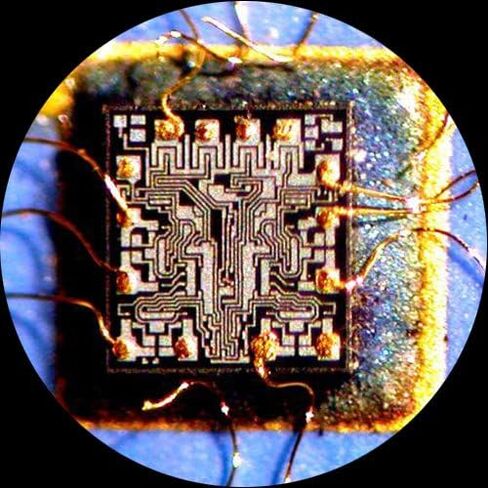 AmScope 3.5X-225X Simul-Focal 144-LED مفصل مجهر ستيريو + كاميرا 5 ميجابكسل in Saudi Arabia