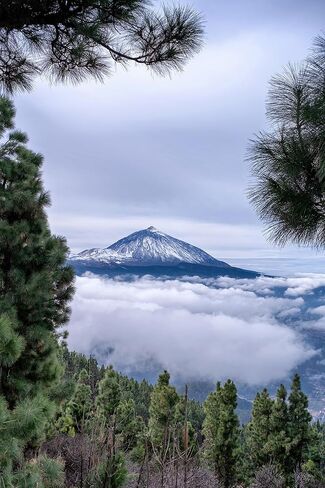 TTArtisan 23 مللي متر F1.8 AF عدسة تركيز تلقائي ذات فتحة كبيرة لعدسة كاميرا Fujifilm X FX Mount X-T10 X-T20 X-T30 X-T50 X-M5 X-S10 X-S20 X-PRO1 X-PRO2، إلخ. in Kuwait