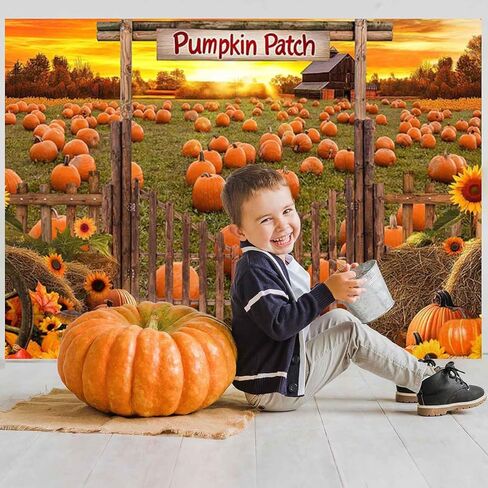 Mocsicka Fall Pumpkin Patch Backdrop Autumn Fall Photo Backdrop Farm Harvest Thanksgiving Pumpkin Field Photography Background Party Supplies (Orange, 7x5ft(82"x60")) in Saudi Arabia