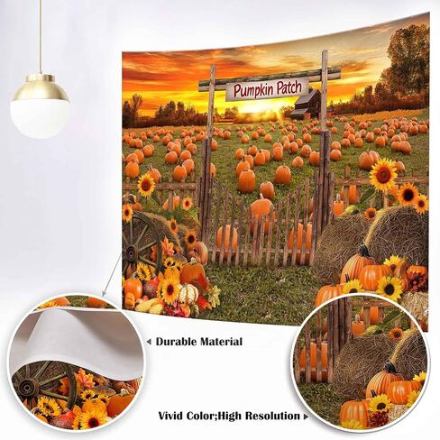 Mocsicka Fall Pumpkin Patch Backdrop Autumn Fall Photo Backdrop Farm Harvest Thanksgiving Pumpkin Field Photography Background Party Supplies (Orange, 7x5ft(82"x60")) in Saudi Arabia