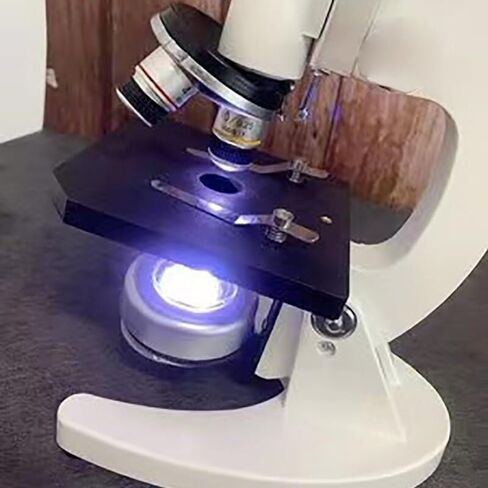 Digital Biological Microscope with 9" IPS Screen, 400X-120000X Magnification, 4X-100X Objectives, Educational Lab Tool – Light Grey in Saudi Arabia