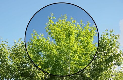 Circular Polarizing Filter Compatible with Sony a7R IIIA– Reduces Reflections and Glare, Enhances Color Saturation and Contrast, Prevents Dust, Moisture & Scratches (82mm) in Saudi Arabia