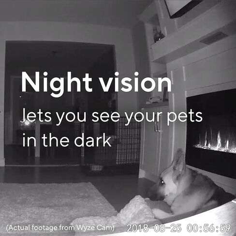 Wyze Cam Black V2 (متجدد) in Kuwait