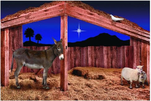 9 Ft. x 6 Ft. Nativity Stable Scene with Animals Plastic Backdrop - 3 Piece Make The Full Backdrop - Great for Nativity and Christmas Plays and Pageants in Saudi Arabia