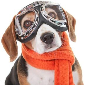 SEIS Dog Windproof Glasses Large Dog Sunglasses Pet Folding Winter Windproof Sunglasses Sled Dog Goggles (Colorful+ White)