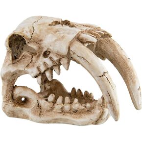 Underwater Treasures Sabertooth Skull