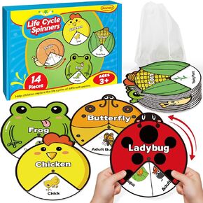 Kasfalci Life Cycle Toys for Kids,Animal Plant Insect Bug Ladybug Butterfly Tadpole to Frog Kit,Montessori Learning & Education Toys,Preschool Science Learning Activities for Toddlers,Board Card Games