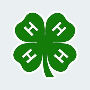 4-H Green Clover Sticker Decal Self Adhesive 4h Food Agriculture 1.25" Wide
