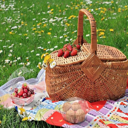 iHomeSet 200 قطعة من البلاستيك الشفاف السميك صدفي لتناول الطعام في الخارج، حاويات طعام للاستعمال مرة واحدة مع أغطية، مقاس 5.5 × 5.5 × 3.3 بوصة للسلطة والحلوى ومستلزمات المخابز in Kuwait