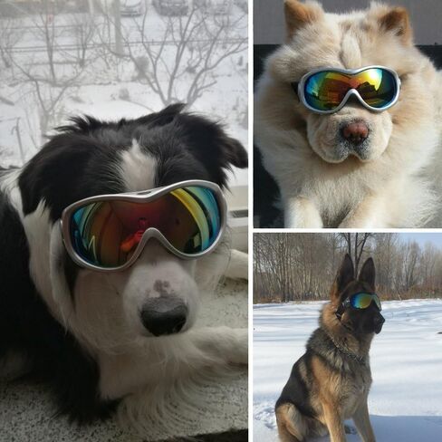 HelloPet Dog Goggles Dog Sunglasses Glasses for Dogs Dog Ski Goggles with UV Protection Pet Sunglasses with Adjustable Strap for Travel, Skiing and Anti-Fog (Black) in Saudi Arabia