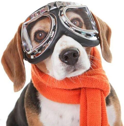 SEIS Dog Windproof Glasses Large Dog Sunglasses Pet Folding Winter Windproof Sunglasses Sled Dog Goggles (Colorful+ White) in Saudi Arabia